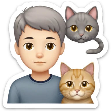 Chinese boy with a grey shorthair cat and a British longhair golden cat sticker