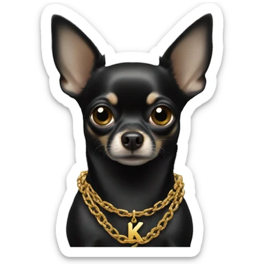 Full image of Black chihuahua wearing golden chain with letter k sticker