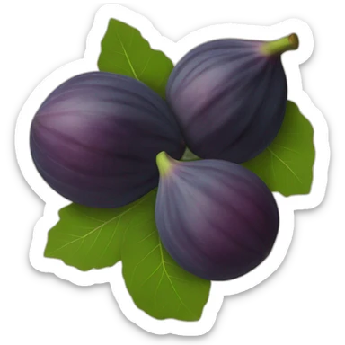 Large figs sticker