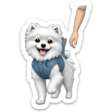 Gray small spitz in overalls walking in sticker