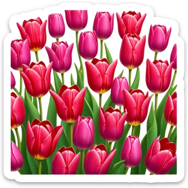 Tulips – Cinematic Realistic Tulips, depicted as a vibrant field of blooming tulips in brilliant hues, each delicate petal catching dewdrops under soft, natural spring light, rendered with detailed textures and a dreamy, picturesque glow. sticker