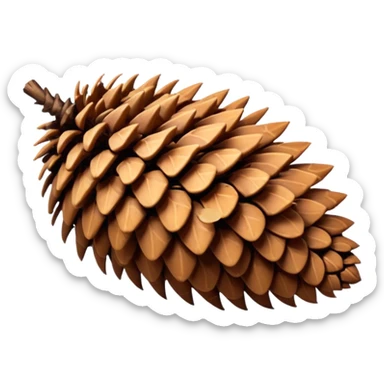 Spruce pine cone sticker