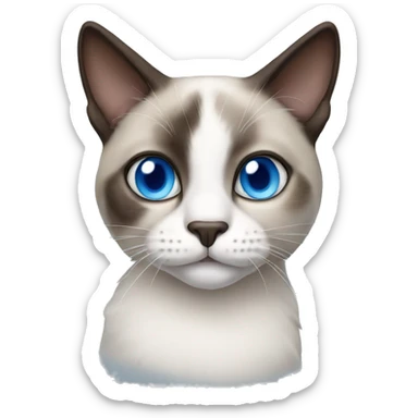 snowshoe cat blue eyes sticker