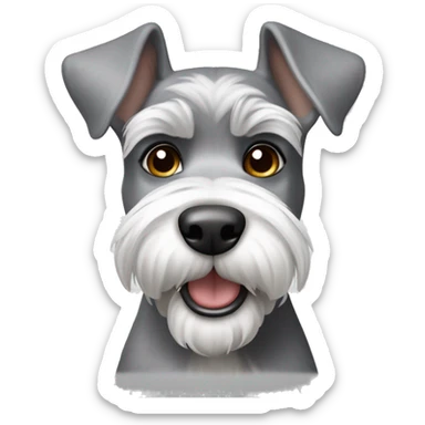 Happy gray and white schnauzer with ears that stick up  sticker