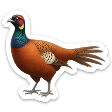 pheasant sticker