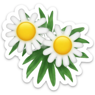 a mimosa sticker