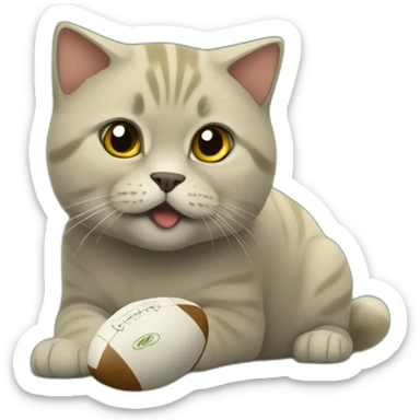 golden british shorthair playing rugby sticker
