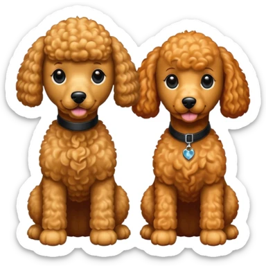 Poodles close to eachother but the other one is ginger color and other is black color sticker