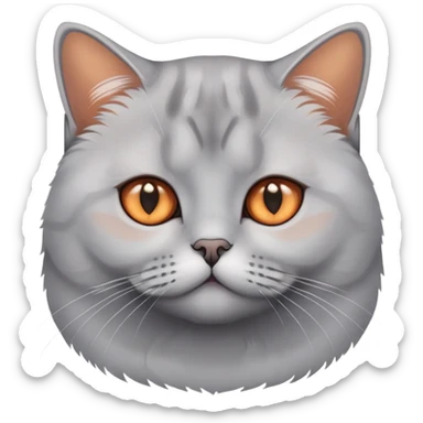 British shorthair silver gradient cat with copper eyes and dense coat sticker