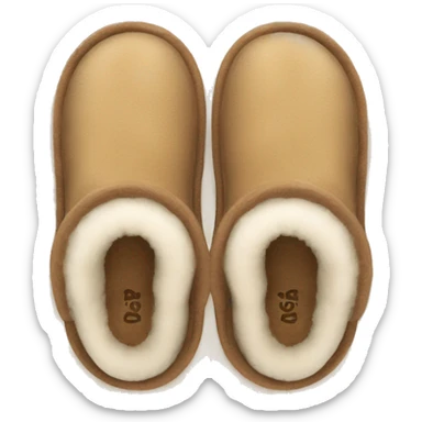 UGG slippers  sticker