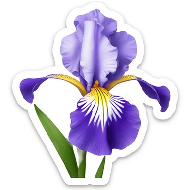Iris flower with stem sticker