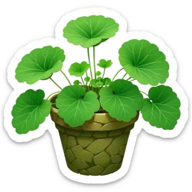 centella asiatica sticker