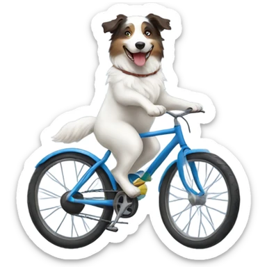 white Australian shepherd riding bike sticker