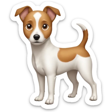 a full body white jack russel looking dog the size of a kelpie with light brown ears and a light brown patch on one eye and a large snout sticker