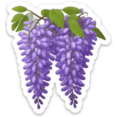 Wisteria sticker