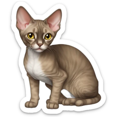 devon rex cat sticker