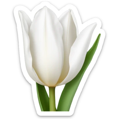 white tulip sticker