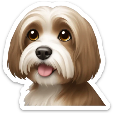 Tan havanese dog with a brown hair girl sticker