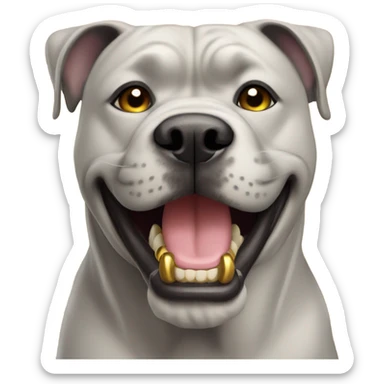 A white Cane Corso smiling with gold teeth  sticker