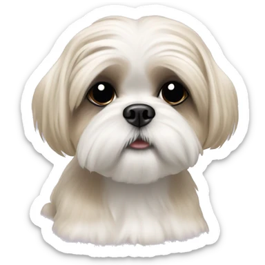 cream shih tzu white girl cute short hair  sticker