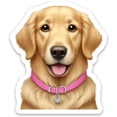 Light colored golden retriever wearing pink collar sticker