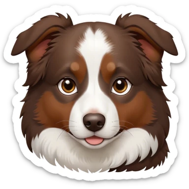 All Dark Brown mini Australian shepherd with white in middle of forehead and all brown nose sticker