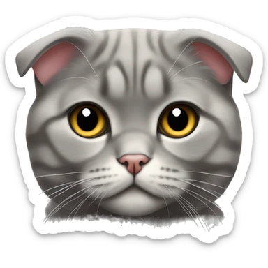 Scottish Fold gray Tommy Hilfiger sticker