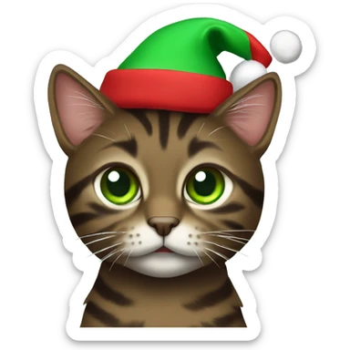 Dark brown tabby cat with green eyes wearing Christmas hat sticker