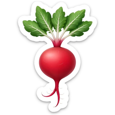radish UK plant with a bit of white on the bottom of the radish sticker