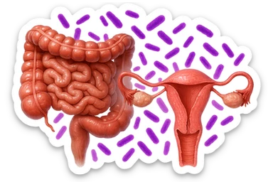 intestino umano anatomico realistico accanto ad un utero umano anatomico realistico, dietro i due organi fluttuano batteri intestinali con questo colore: #971ef1, iperrealistico 4k
isolata su sfondo bianco sticker