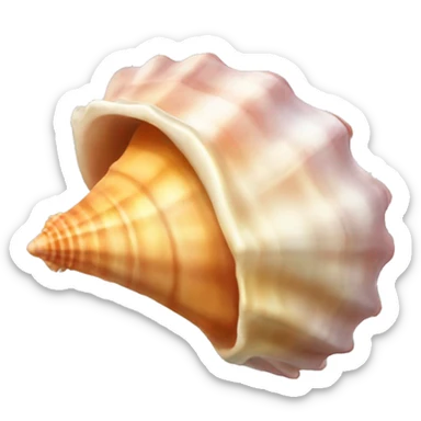 Conch seashell sticker