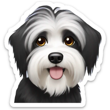 Black havanese with white eyebrow  sticker