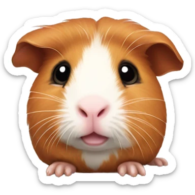 Cute Guinea pig  sticker