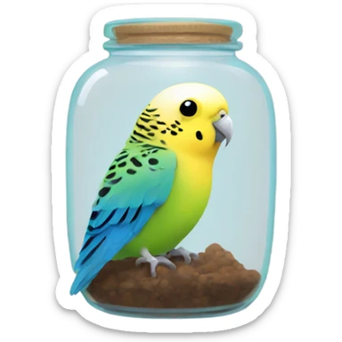 Budgie in a jar sticker