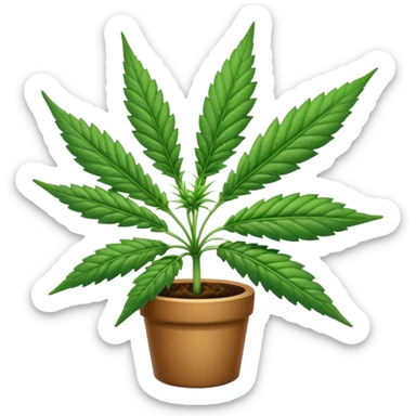 Cannabis sticker