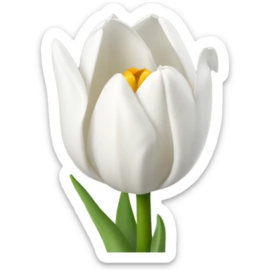 white tulipe sticker