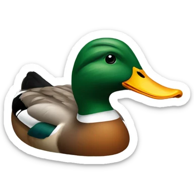 Mallard duck  sticker