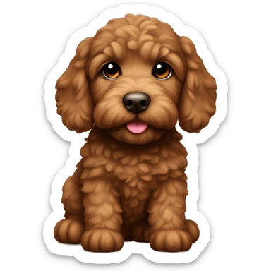 Cute miniature brown labrodoodle puppy  sticker