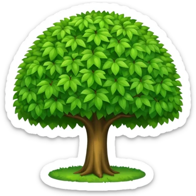 broad leafy tree rounded canopy sticker