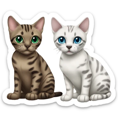 Seal Bengal cat with Blue eyes + charcoal Sepia bengal cat with Green eyes sitting  sticker