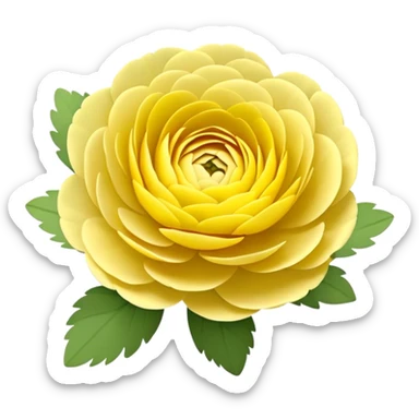 Ranunculus sticker