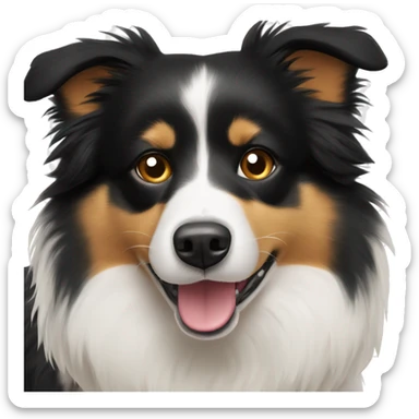 Border collie Pomeranian mix sticker