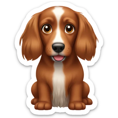 Brown Miniature Long-Haired Doxen sticker
