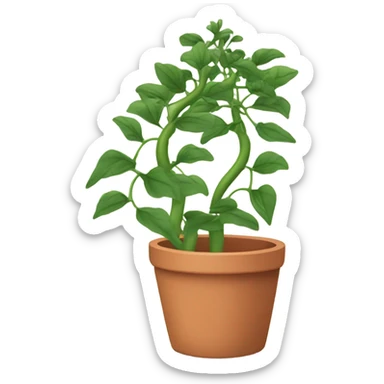 a Climbing Plant in a pot sticker