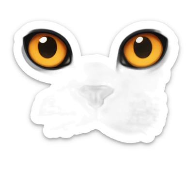 black British shorthair with orange eyes sticker