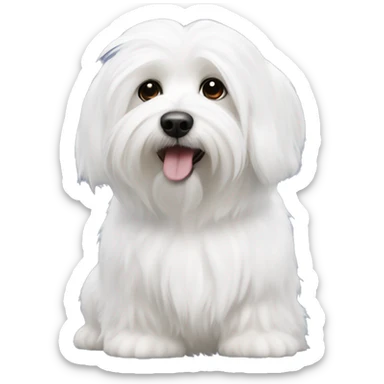 Coton de tulear  sticker