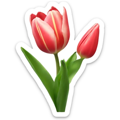 tulip sticker