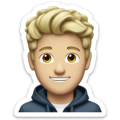 niall horan  sticker