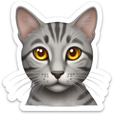Grey tabby cat with amber coloured eyes sticker