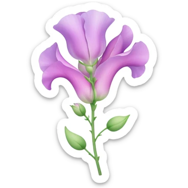 Sweet pea, flower sticker